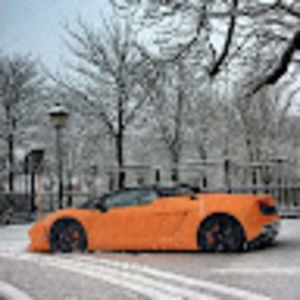 Meet your Posher, Holly